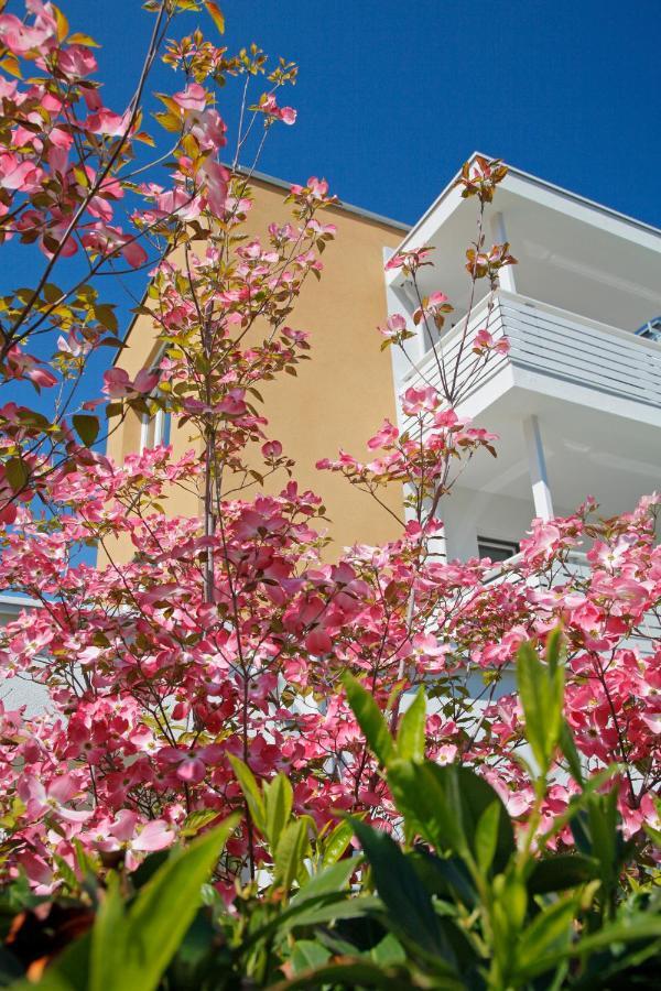Hotel Jardis (Adults Only) ลานา ภายนอก รูปภาพ
